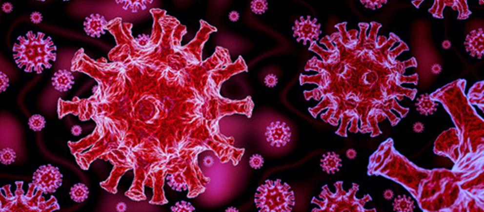 Von Corona lernen: Was durch Angst möglich ist, muss auch durch Vertrauen möglich sein